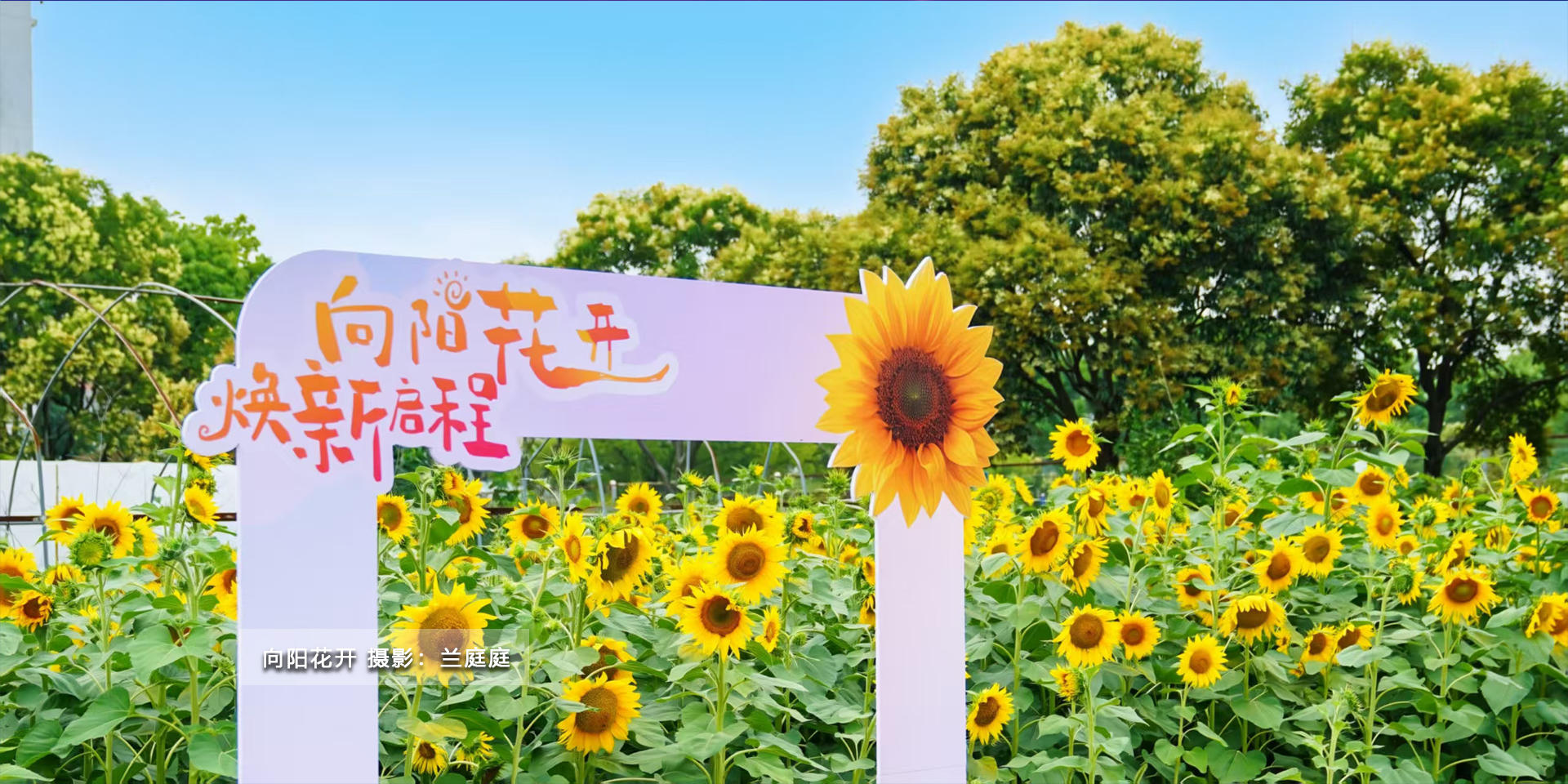 (另开新窗口)
