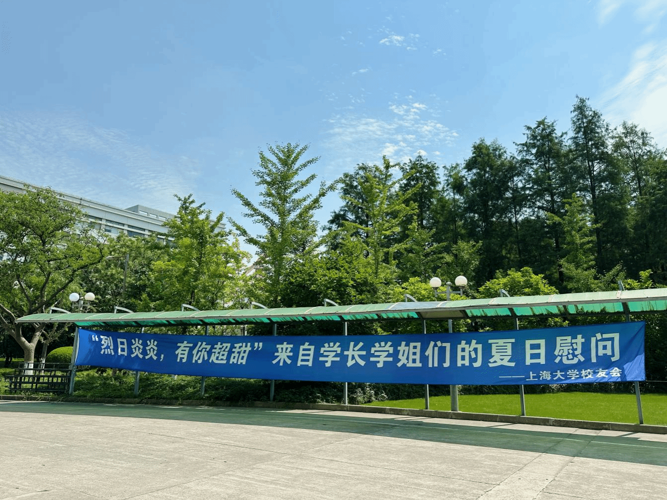 图片13.png