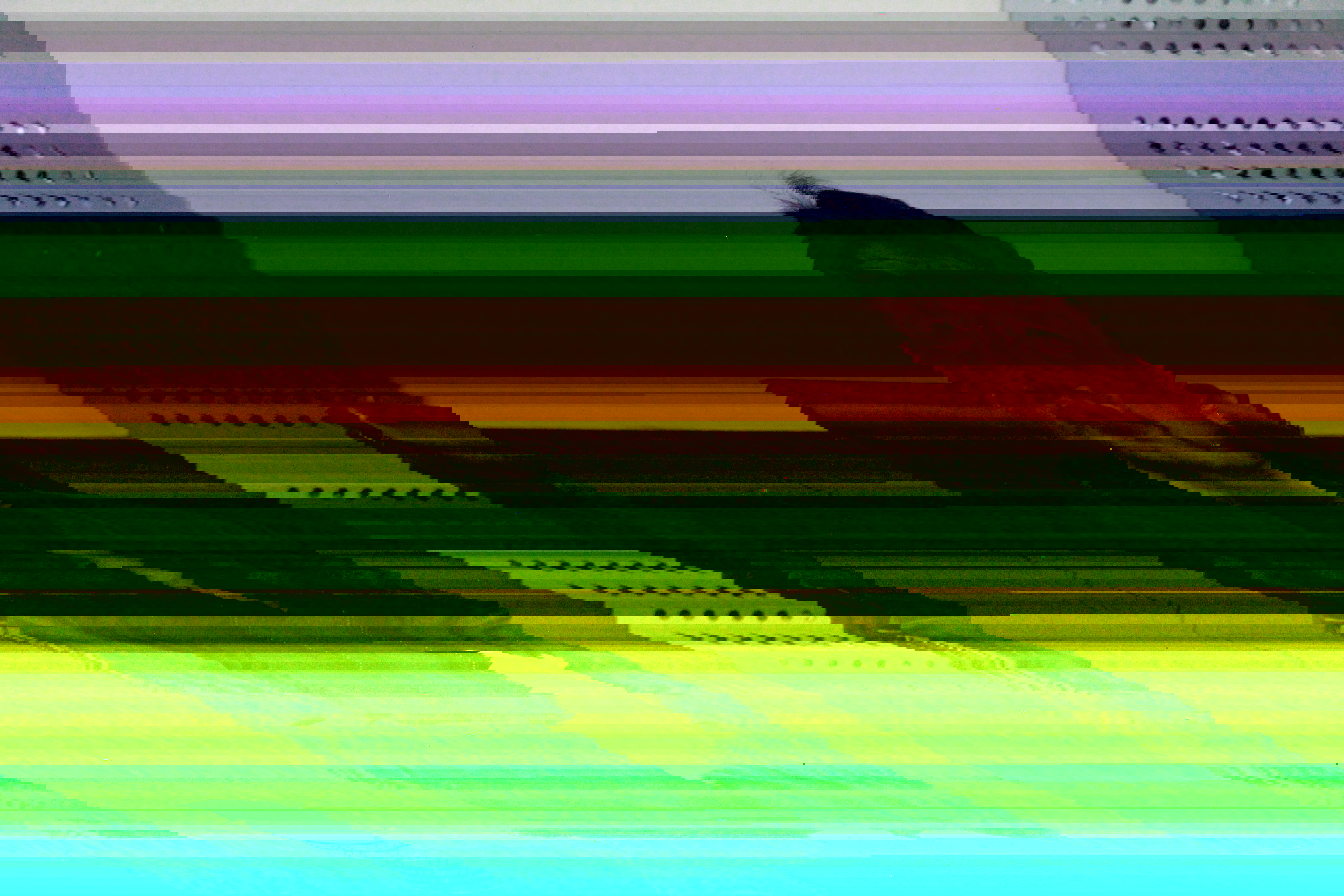 74E423?e=.jpg